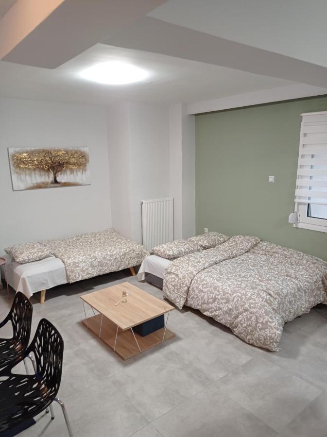 Central Home Tríkala Exteriér fotografie
